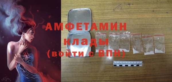 ГАЛЛЮЦИНОГЕННЫЕ ГРИБЫ Семёнов