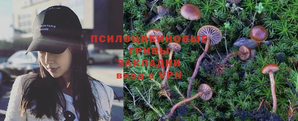 ГАЛЛЮЦИНОГЕННЫЕ ГРИБЫ Белоозёрский