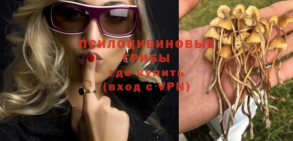 тгк Беломорск