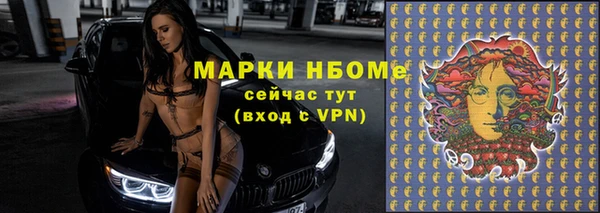 ГАЛЛЮЦИНОГЕННЫЕ ГРИБЫ Семёнов